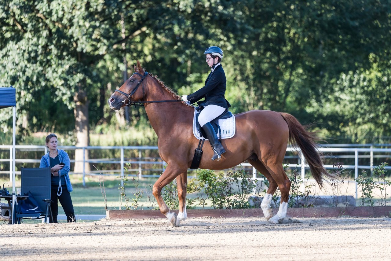 Bild 5 - Pony Akademie Turnier